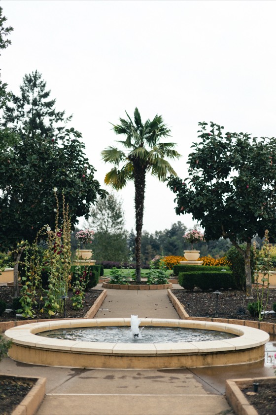 Wedding photo 381
