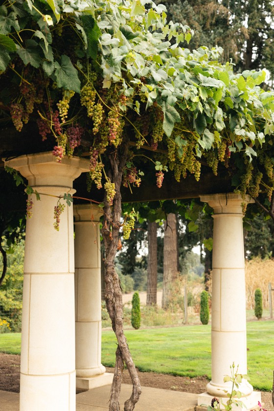 Wedding photo 326
